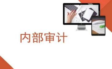 乡内审工作总结6篇