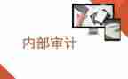 乡内审工作总结6篇