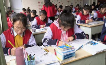 小学三年级个人工作计划5篇