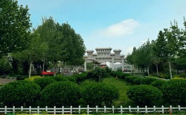学习宁晋教师心得体会通用6篇