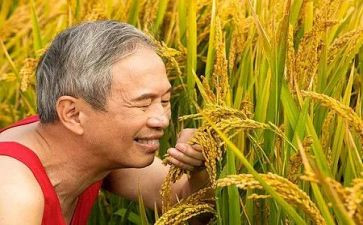 农夫与蛇,读后感8篇