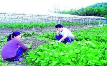农技术培训心得体会优秀7篇