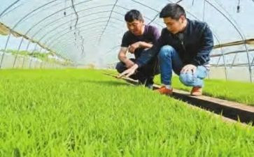 农技术培训心得体会推荐6篇