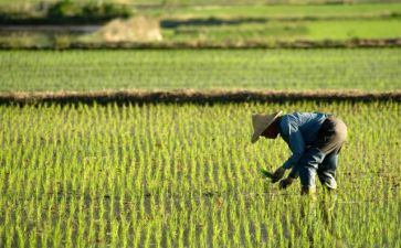 2024年农民节活动总结范文6篇