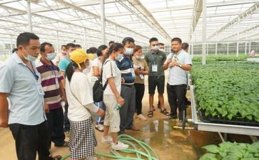 镇农艺师工作总结范文8篇