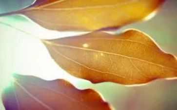 有温暖的话题作文优秀7篇