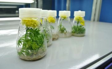 培养对象培训总结6篇