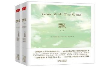 飘的心得体会2000字精选6篇