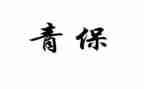年终个人青保工作总结优质8篇