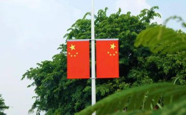 旗帜的读后感6篇