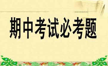 期中总结演讲稿7篇