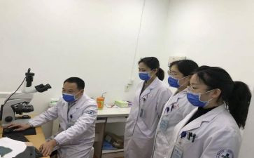 安全科长工作总结5篇