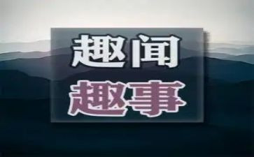 中秋趣事高一作文6篇
