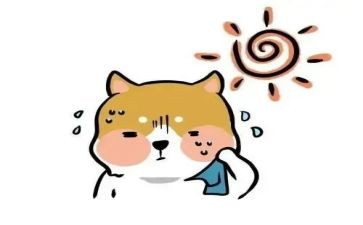 关于热爱祖的演讲稿7篇