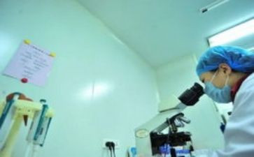 文印工作个人工作总结6篇