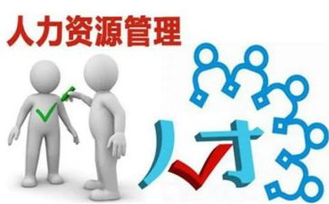 人力半年度工作总结优秀7篇