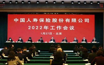 2024年人寿保险工作总结7篇