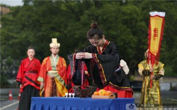 教师的人文素养心得体会6篇