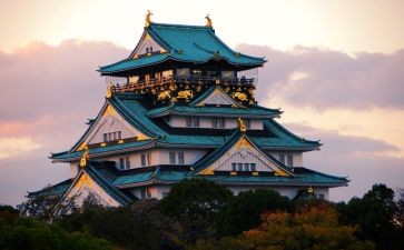 日本观后感8篇