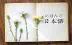 日语的心得体会7篇