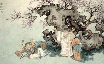 读儒林外史读后感800字6篇