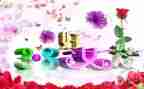 幼儿园三八节活动方案7篇