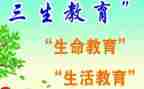 高三生物组工作总结优秀5篇