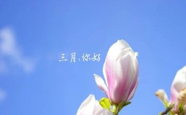 三月份工作总结模板6篇