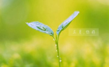 幼儿园大班三月份工作计划2022精选5篇