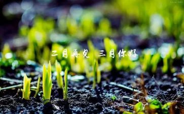 2024年三月份工作总结参考6篇