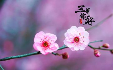 2024年三月的思想汇报8篇