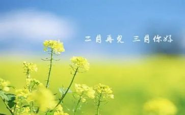 三月份学生会工作总结5篇