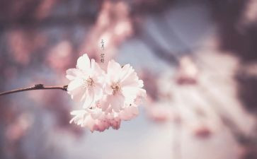 初三月考心得体会5篇