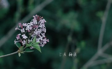2024年三月份工作总结7篇