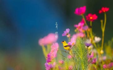 中班三月保育工作总结6篇