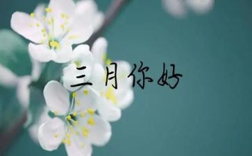 初三月考心得体会6篇