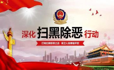 扫黑办工作个人总结7篇