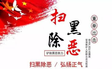 村扫黑除恶2024年工作总结8篇