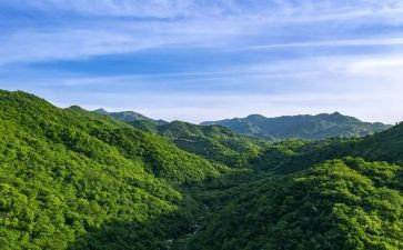 读绿水青山就是金山银山心得体会8篇