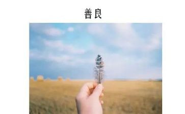 爱与善作文精选5篇