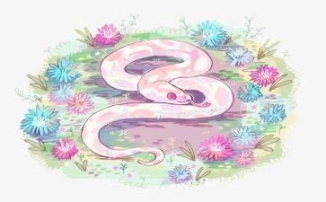 蛇宝宝小班教案6篇