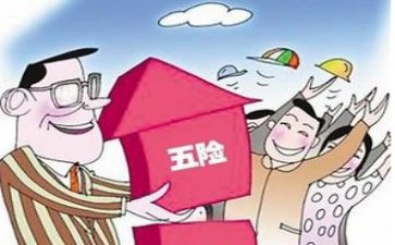 社保年工作总结7篇