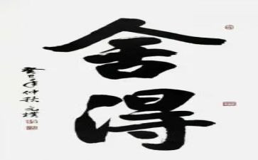 舍得演讲稿5篇