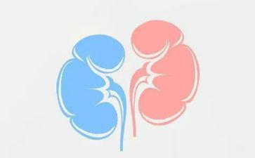 2023年肾内科工作总结参考6篇