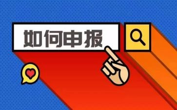 教师申报表个人总结6篇