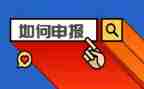 教师申报表个人总结6篇