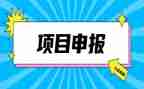 专业技术职称申报工作总结5篇