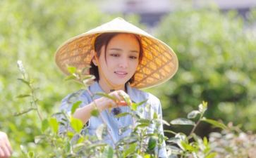 生活中的数教案推荐8篇