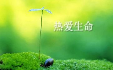 读生命水读后感参考8篇