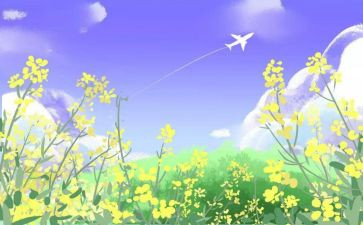 写关爱生命的演讲稿5篇
